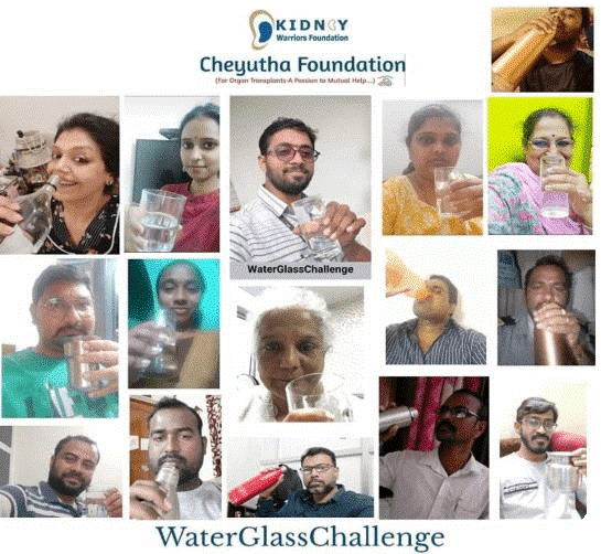 World Kidney Day 2021